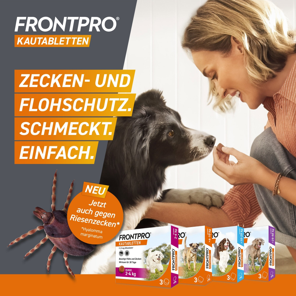 FRONTPRO