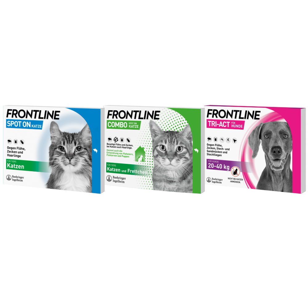 FRONTLINE 