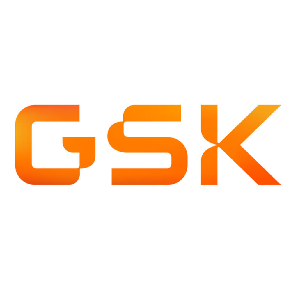GlaxoSmithKline GmbH & Co. KG